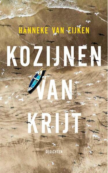 Kozijnen van krijt - Hanneke van Eijken (ISBN 9789044628272)