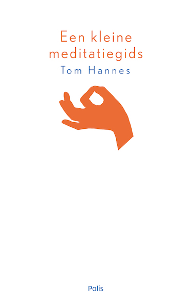 Een kleine meditatiegids - Tom Hannes (ISBN 9789463103527)