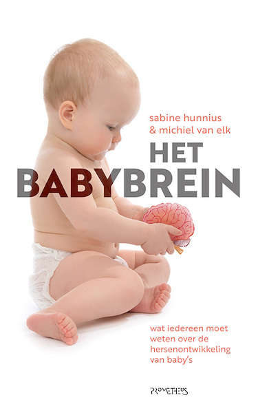 Het babybrein - Sabine Hunnius, Michiel van Elk (ISBN 9789044636277)