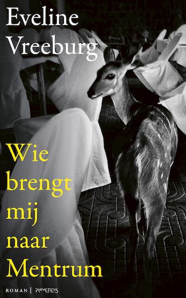 Wie brengt mij naar Mentrum - Eveline Vreeburg (ISBN 9789044630657)