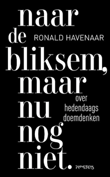 Naar de bliksem, maar nu nog niet - Ronald Havenaar (ISBN 9789044640311)