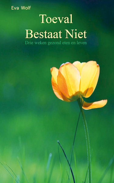 Toeval Bestaat NIet - Eva Wolf (ISBN 9789082303216)