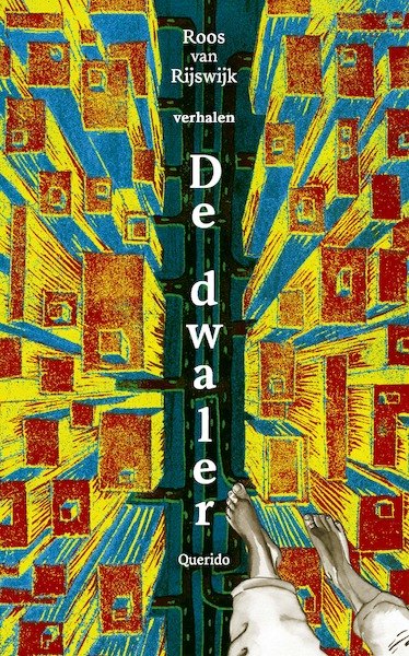 De dwaler - Roos van Rijswijk (ISBN 9789021423999)