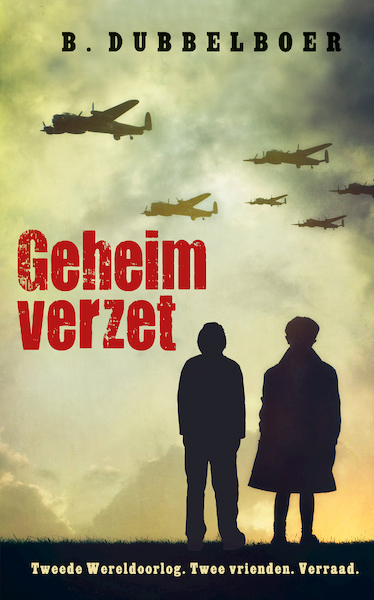 Geheim verzet - B. Dubbelboer (ISBN 9789020631272)