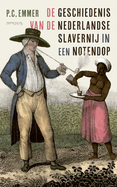De geschiedenis van de Nederlandse slavernij in een notendop - Piet Emmer (ISBN 9789044648508)