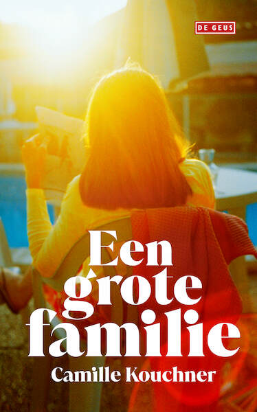 Een grote familie - Camille Kouchner (ISBN 9789044545470)