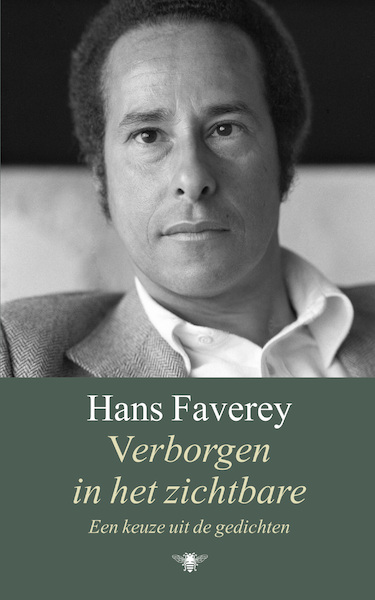 Verborgen in het onzichtbare - Hans Faverey (ISBN 9789403161211)
