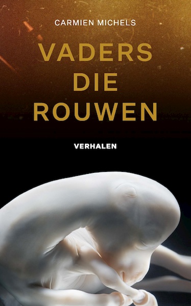 Vaders die rouwen - Carmien Michels (ISBN 9789021426921)