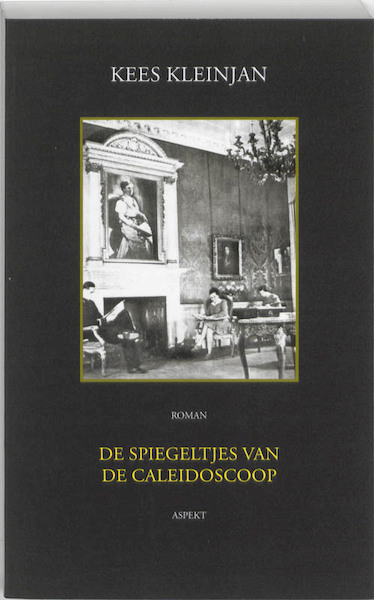De Spiegeltjes van de Caleidoscoop - Kees Kleinjan (ISBN 9789464624656)