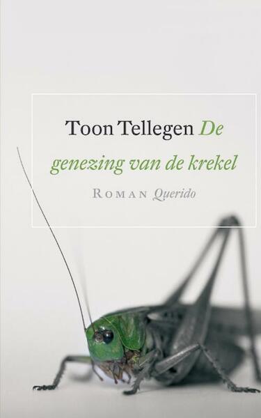 De genezing van de krekel - Toon Tellegen (ISBN 9789021438504)