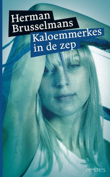 Kaloemmerkes in de zep - Herman Brusselmans (ISBN 9789044614848)