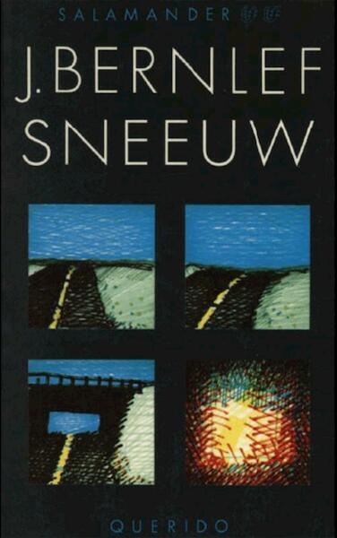 Sneeuw - Bernlef (ISBN 9789021443577)