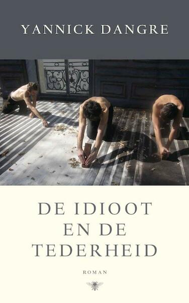 De idioot en de tederheid - Yannick Dangre (ISBN 9789023496441)