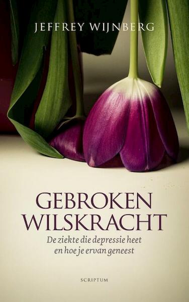 Gebroken wilskracht - Jeffrey Wijnberg (ISBN 9789463190497)