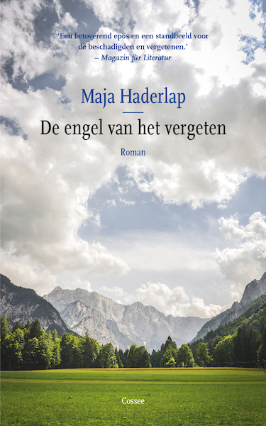 De engel van het vergeten - Maja Haderlap (ISBN 9789059368576)