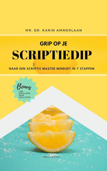 GRIP OP JE SCRIPTIEDIP - Karin Ammerlaan (ISBN 9789082899238)