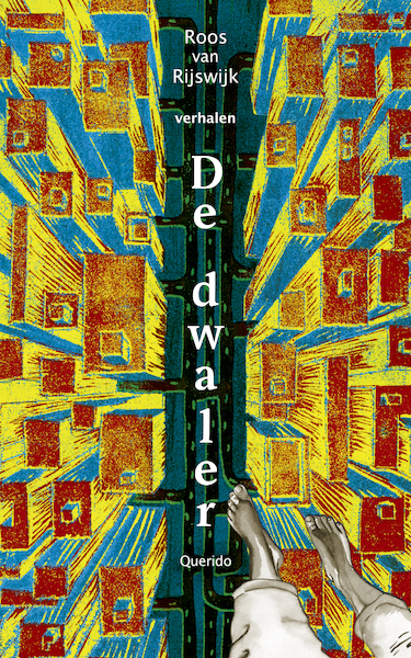 De dwaler - Roos van Rijswijk (ISBN 9789021424002)