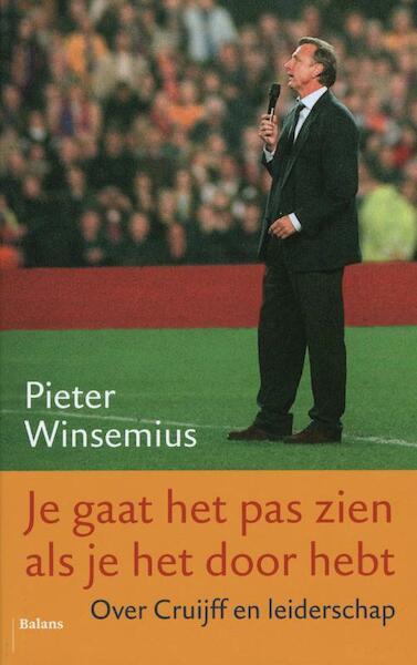 Je gaat het pas zien als je het doorhebt - Pieter Winsemius (ISBN 9789460033520)