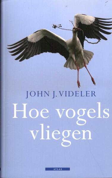 Hoe vogels vliegen - John J. Videler (ISBN 9789045020006)