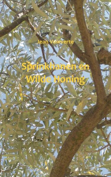 Sprinkhanen en wilde honing - Jean Voieverte (ISBN 9789461933140)