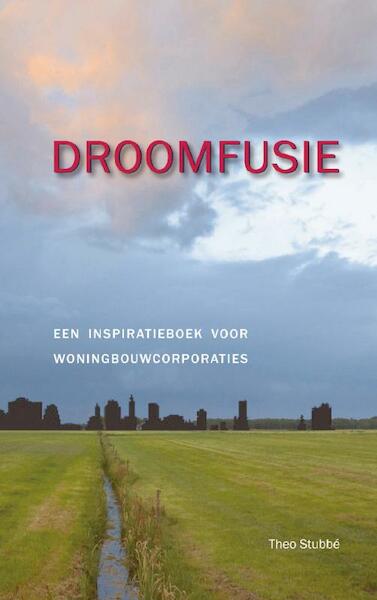 Droomfusie - Theo Stubbé (ISBN 9789461934383)