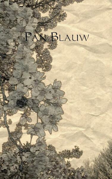 Pan blauw - S.R. Post (ISBN 9789402111545)