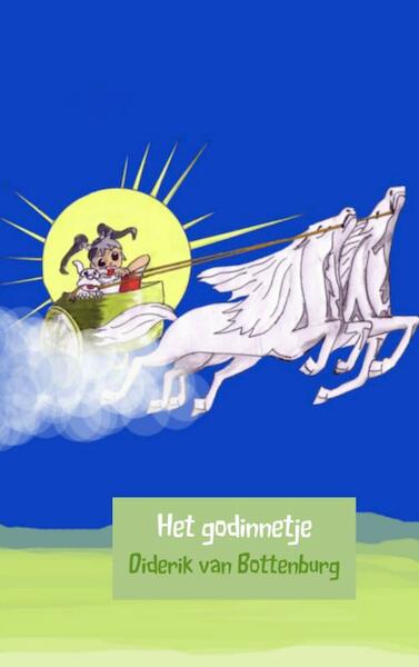 Het godinnetje - Diderik van Bottenburg (ISBN 9789402112924)