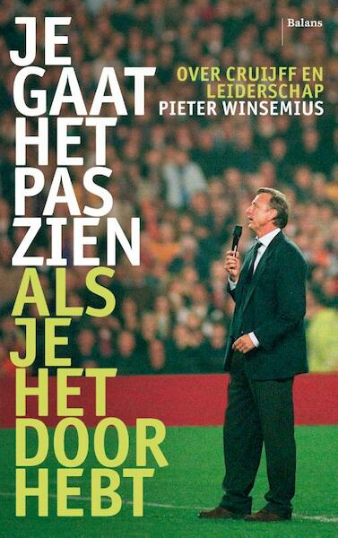 Je gaat het pas zien als je het doorhebt - Pieter Winsemius (ISBN 9789460030307)