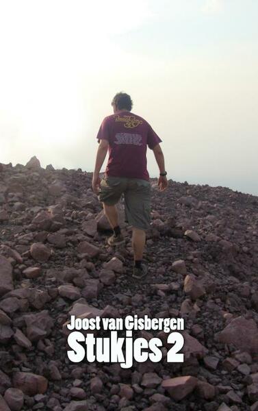 Stukjes 2 - Joost van Gisbergen (ISBN 9789402127836)