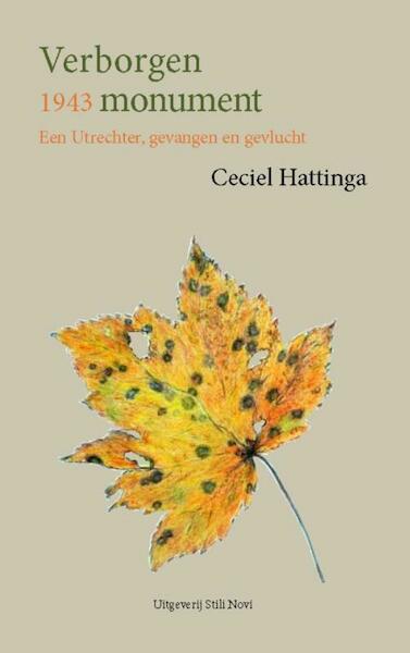 Verborgen monument - Ceciel Hattinga (ISBN 9789078094722)