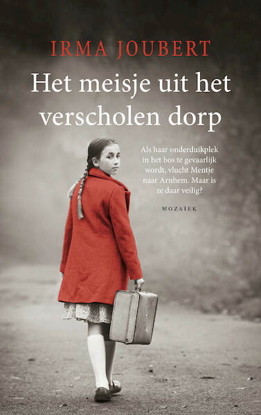 Het meisje uit het verscholen dorp - Irma Joubert (ISBN 9789023950547)
