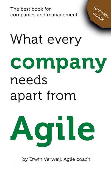 What every company needs apart from Agile - Erwin Verweij (ISBN 9789402167115)