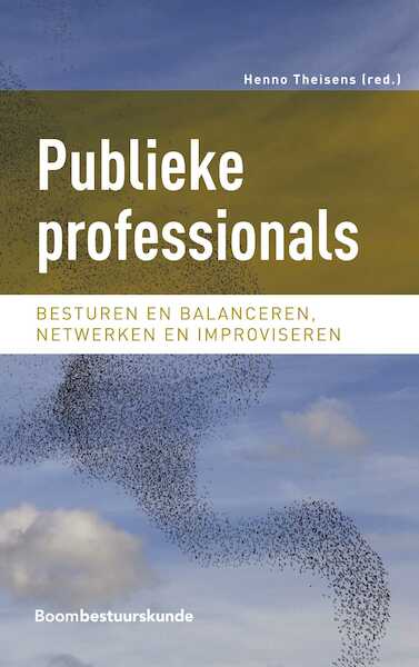Publieke professionals - Henno Theisens (ISBN 9789462368736)