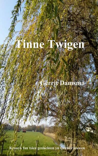Tinne Twigen - Gerrit Damsma (ISBN 9789402184365)