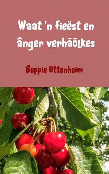 Waat 'n fieëst en ânger verhäölkes - Beppie Ottenheim (ISBN 9789402187601)