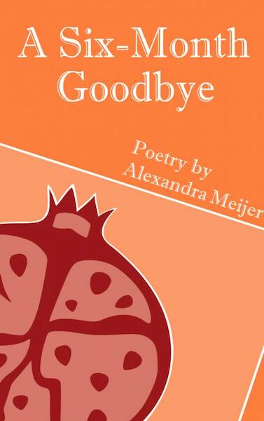 A Six-Month Goodbye - Alexandra Meijer (ISBN 9789402186130)