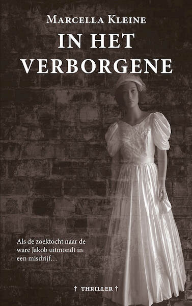 In het verborgene - Marcella Kleine (ISBN 9789492657114)