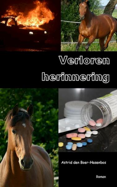 Verloren herinnering - Astrid den Boer-Hasenbos (ISBN 9789402195668)