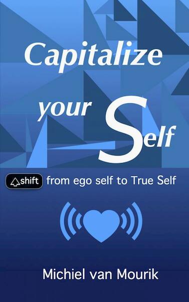 Capitalize your Self - Michiel Van Mourik (ISBN 9789402194616)