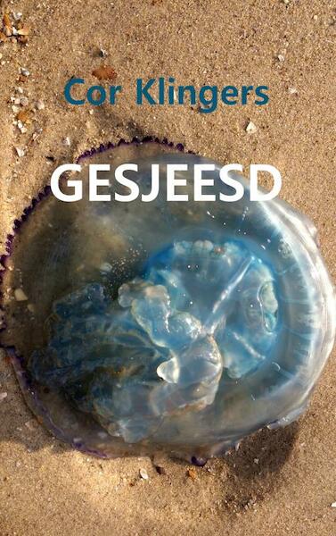 GESJEESD - Cor Klingers (ISBN 9789402198232)