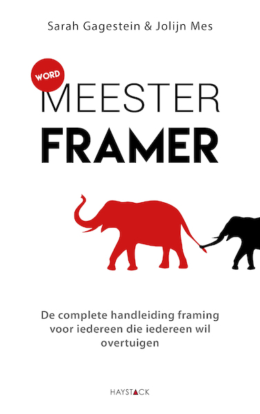 Word meesterframer - Sarah Gagestein, Jolijn Mes (ISBN 9789461263674)