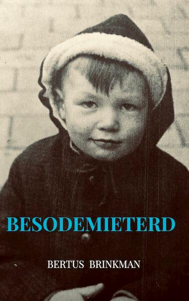 Besodemieterd - Bertus Brinkman (ISBN 9789463981675)