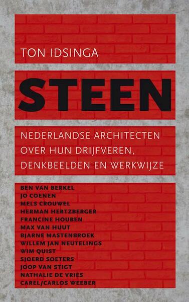 Steen - Ton Idsinga (ISBN 9789025366933)