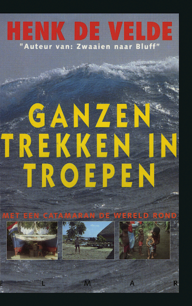 Ganzen trekken in troepen - Henk de Velde (ISBN 9789038927787)