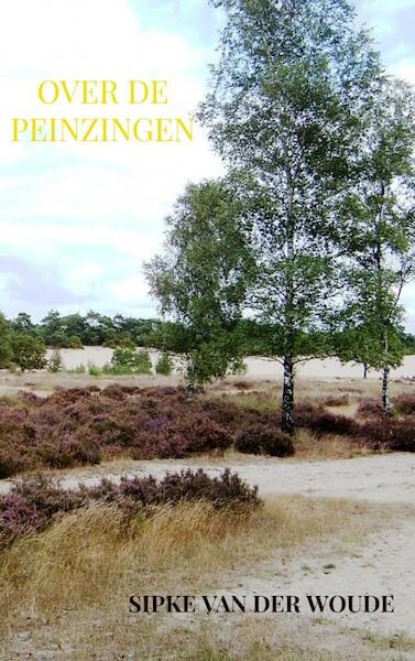 Over de peinzingen - Sipke Van der Woude (ISBN 9789464056761)