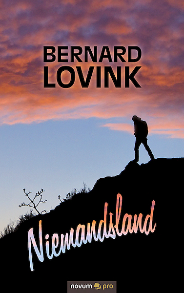 Niemandsland - Bernard Lovink (ISBN 9783991070450)