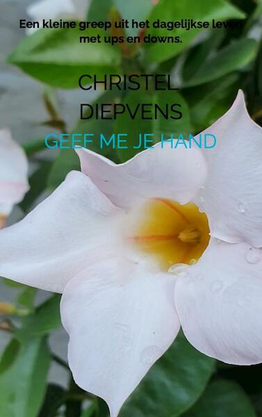 Geef me je hand - Christel Diepvens (ISBN 9789464183313)