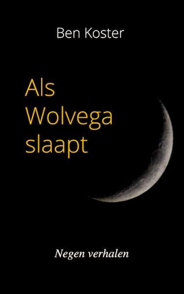 Als Wolvega slaapt - Ben Koster (ISBN 9789464186819)