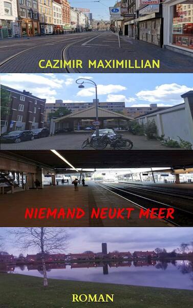 Niemand neukt meer - Cazimir Maximillian (ISBN 9789464357509)