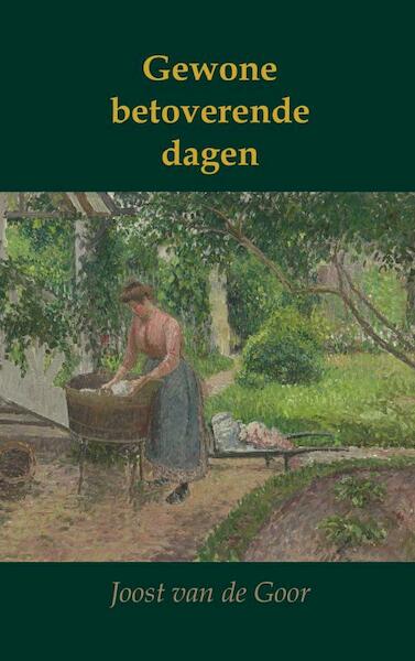 Gewone betoverende dagen - Joost van de Goor (ISBN 9789464803570)